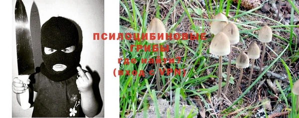 мет Абаза