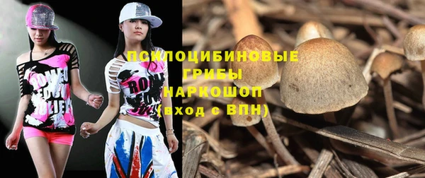 мет Абаза