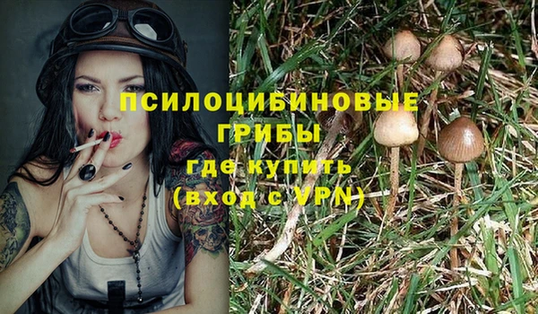 спиды Абдулино