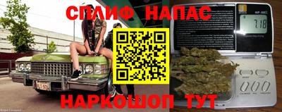 винт Нарткала