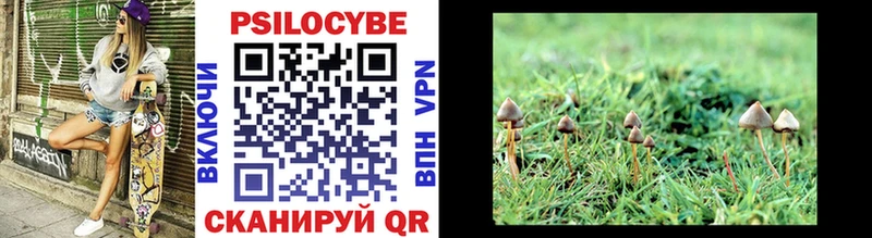 Галлюциногенные грибы Psilocybine cubensis  Тула 