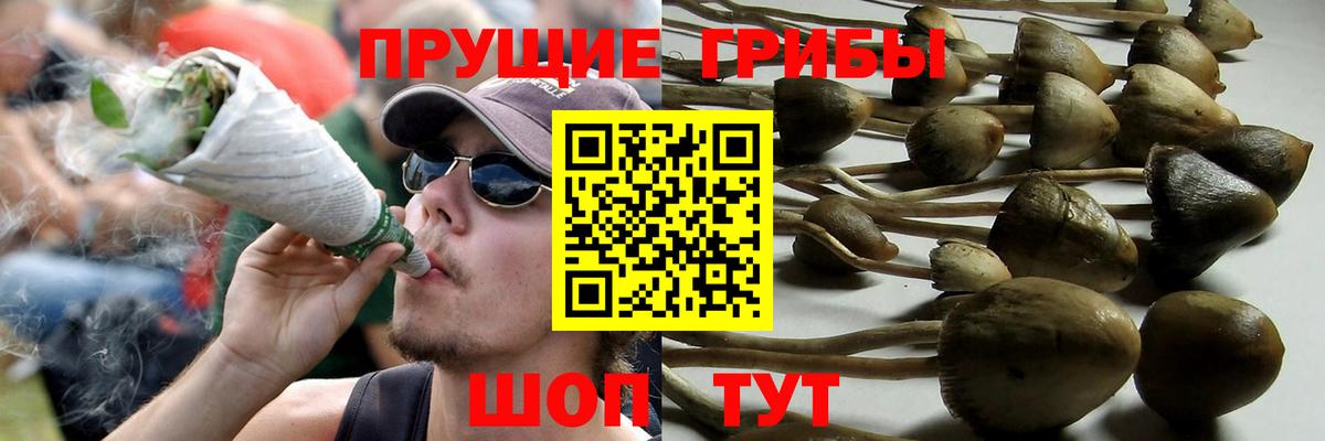 купить  цена  Вход с VPN  Тула  Галлюциногенные грибы мухоморы 